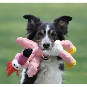Kong Wild Knots til hunde