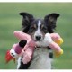 Kong Wild Knots til hunde