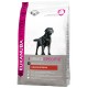 Eukanuba Labrador Retriever hundefoder