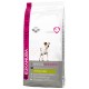 Eukanuba Jack Russel Terrier
