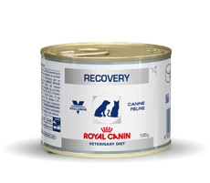 Royal Canin Veterinary Diet Recovery (dåse) til hund og kat