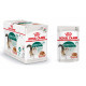 Royal Canin Instinctive 7+ vådfoder til katte 12x