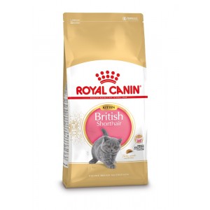 Royal Canin Kitten British Shorthair kattefoder