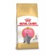 Royal Canin Kitten British Shorthair kattefoder