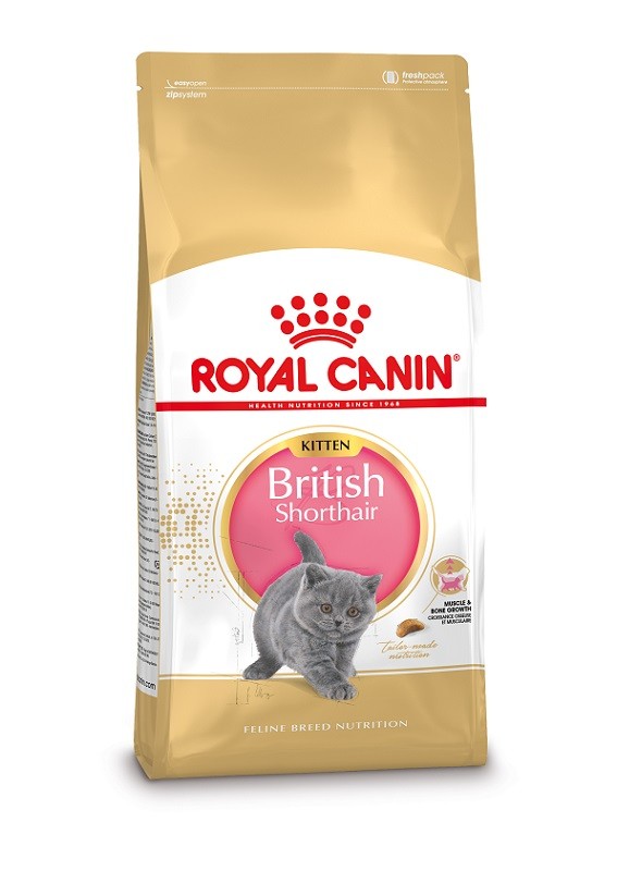 Royal Canin Kitten British Shorthair kattefoder