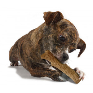 Petstages Dogwood Stick til hunde