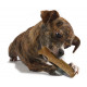 Petstages Dogwood Stick til hunde