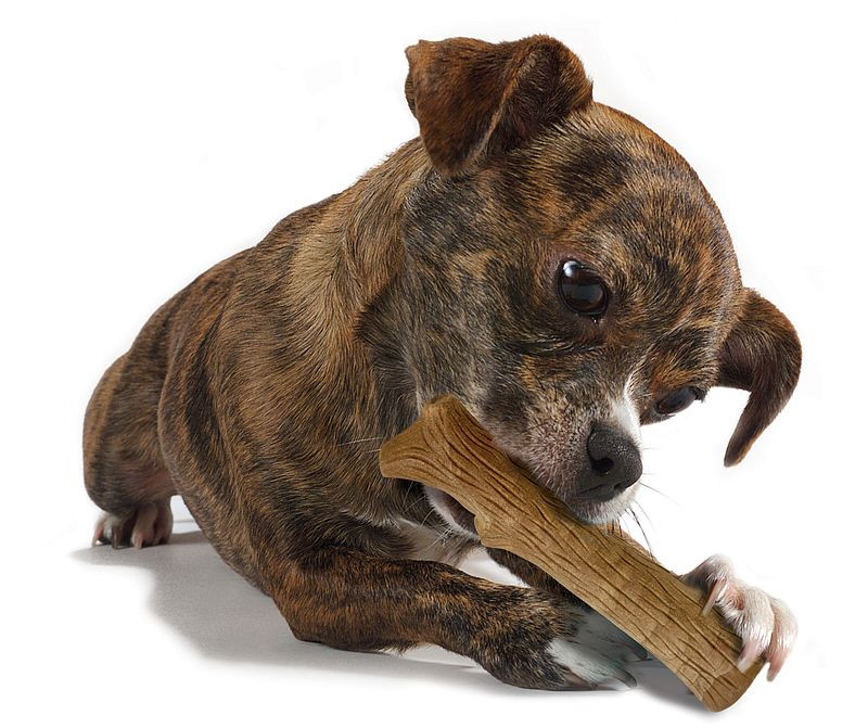 Petstages Dogwood Stick til hunde