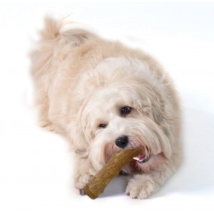Petstages Dogwood Stick til hunde