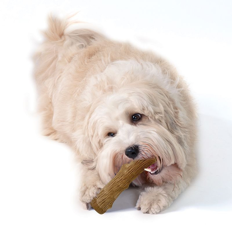 Petstages Dogwood Stick til hunde