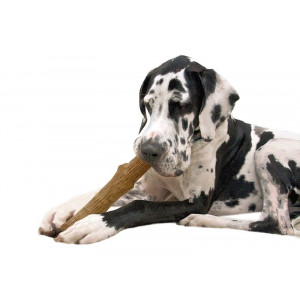 Petstages Dogwood Stick til hunde