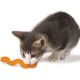 Petstages Orka Kat Wiggle Worm