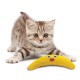 Petstages Catnip Boomerang Buddy