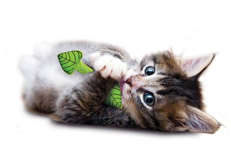 Petstages Mint Stick til katte
