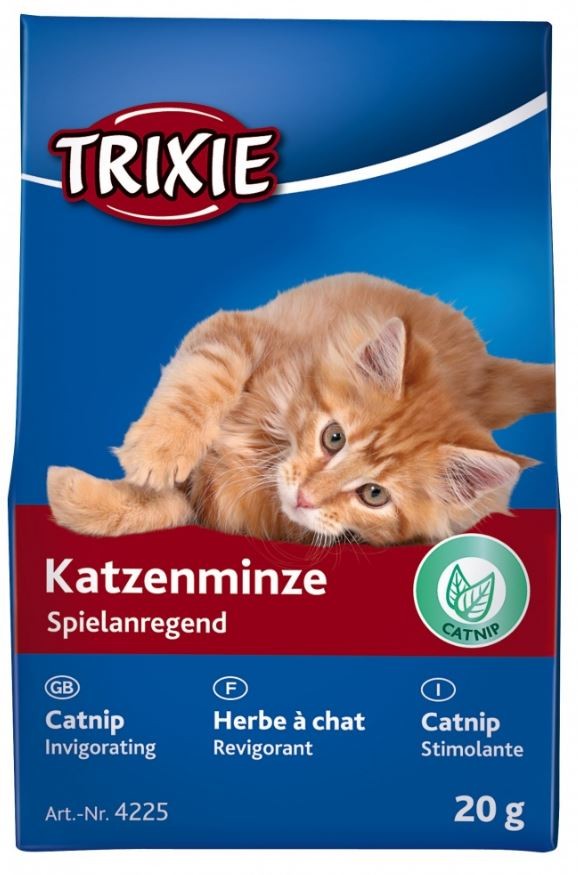 Katteurt til katte