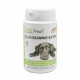 PhytoTreat Glucosamine-Extra kosttilskud  til hunde