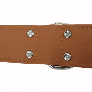 Softleren Halsband Quasar Zwart