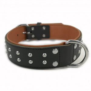 Softleren Halsband Quasar Zwart