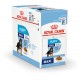 Royal Canin Maxi Puppy natvoer