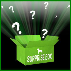 Brekz Surprise Box Limited Edition til hunde