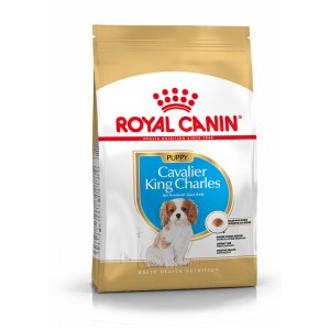 Royal Canin Puppy Cavalier King Charles hundefoder