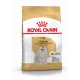 Royal Canin Adult Malteser hundefoder