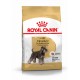 Royal Canin Adult Mini Schnauzer hundefoder