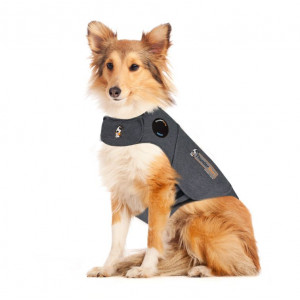 Thundershirt til hunde