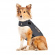 Thundershirt til hunde