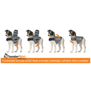 Thundershirt til hunde