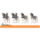 Thundershirt til hunde