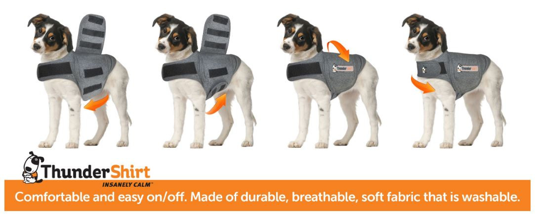 Thundershirt til hunde