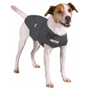 Thundershirt til hunde