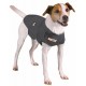 Thundershirt til hunde