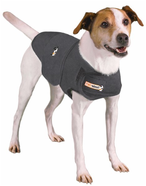 Thundershirt til hunde