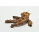 Brekz Snacks - Kyllingehalse til hunden