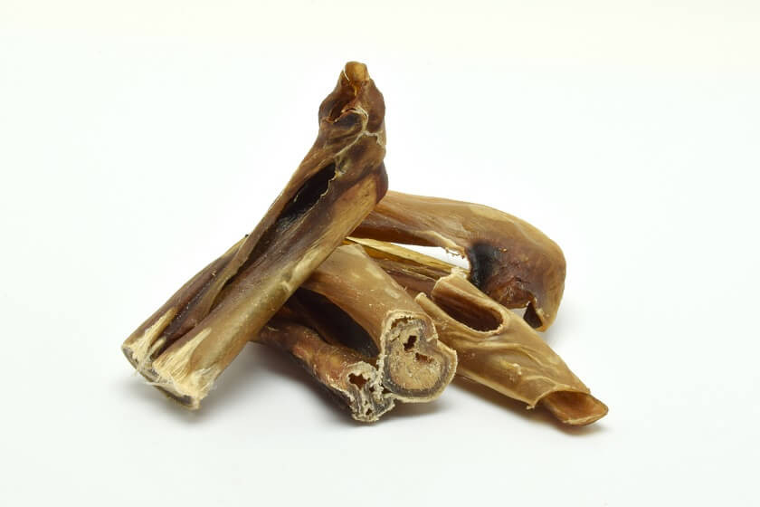 Bullepeespuntjes voor Honden