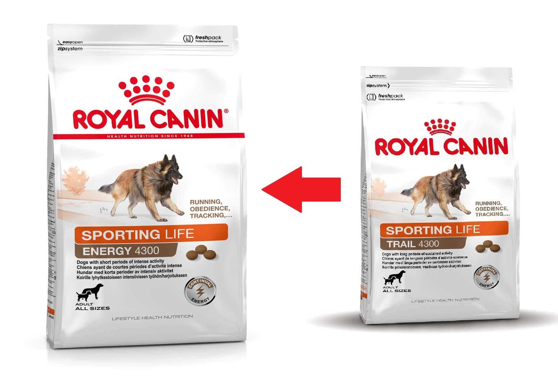 Royal Canin Sporting Energy 4300 hundefoder