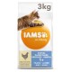Iams for Vitality Adult Dental kattefoder