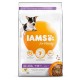 Iams for Vitality Puppy små og medium hunderacer