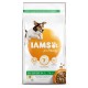 Iams for Vitality Adult små og mellemstore racer hundefoder