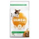 Iams for Vitality Adult Small & Medium Lam hondenvoer
