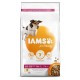 Iams for Vitality Senior Kylling små og mellemstore racer hundefoder