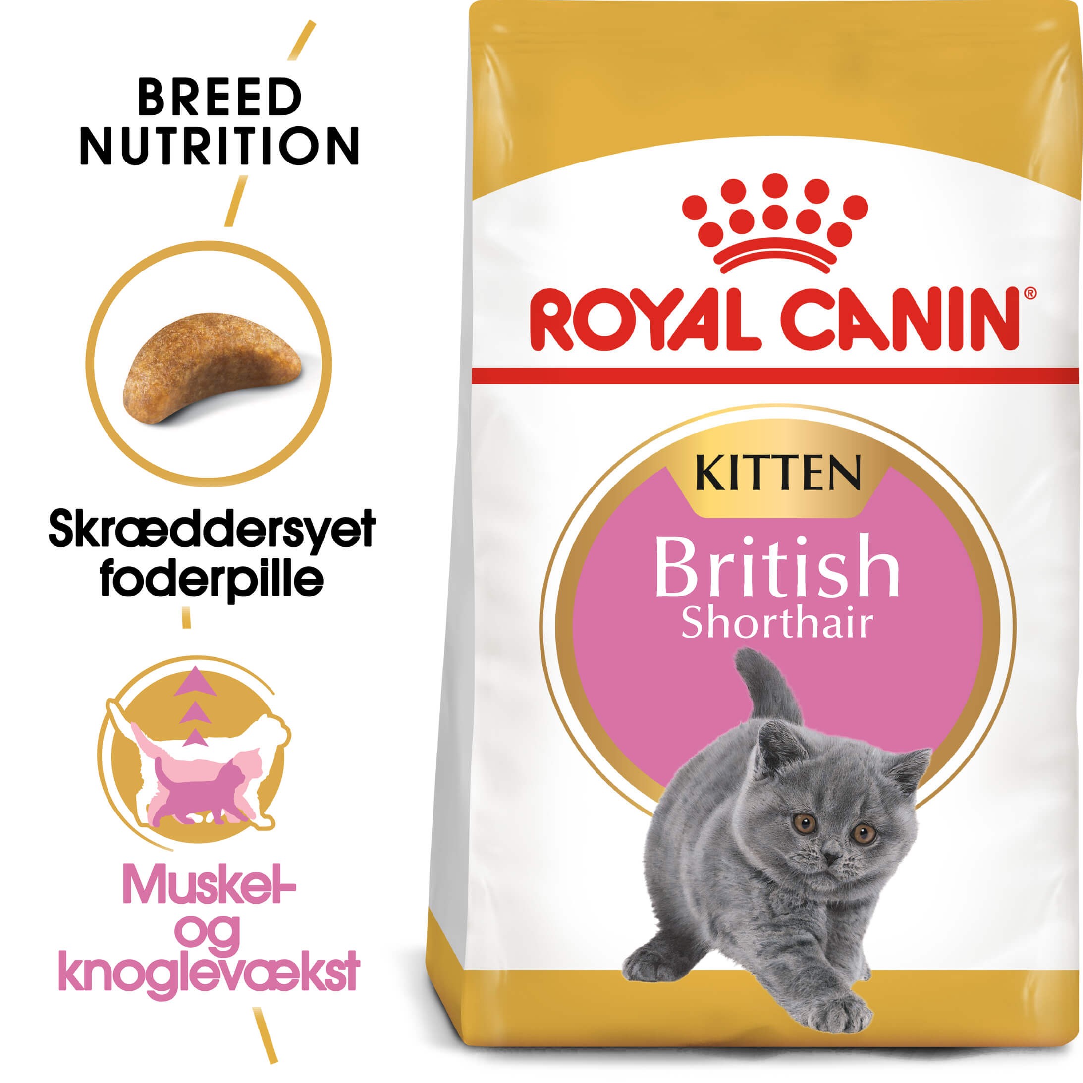 Royal Canin Kitten British Shorthair kattefoder