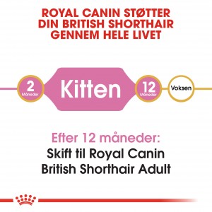 Royal Canin Kitten British Shorthair kattefoder