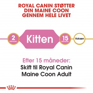 Royal Canin Kitten Maine Coon kattefoder