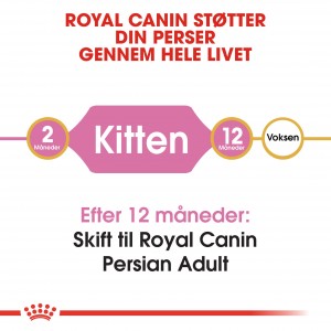 Royal Canin Kitten Persian kattefoder
