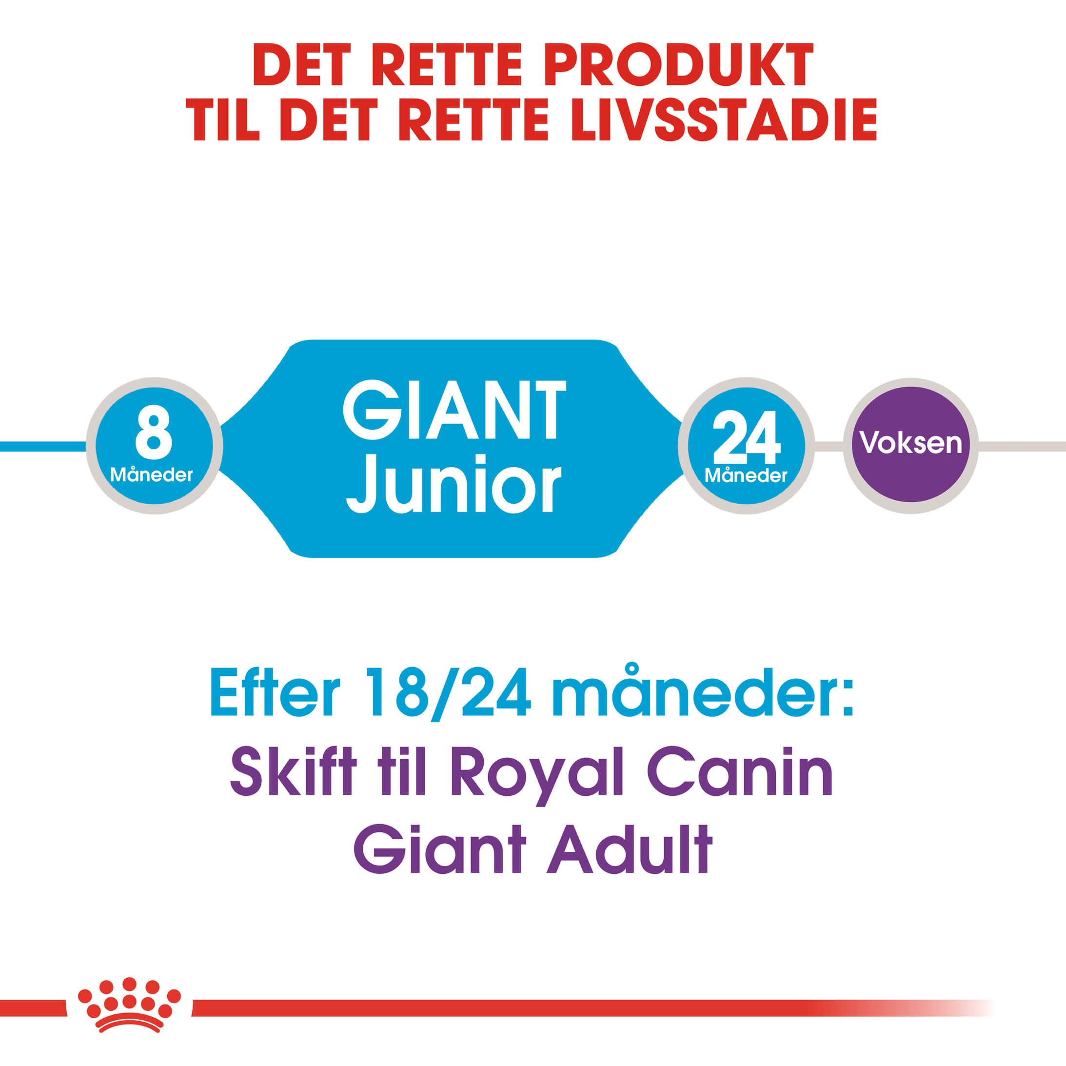 Royal Canin Giant Junior hundefoder