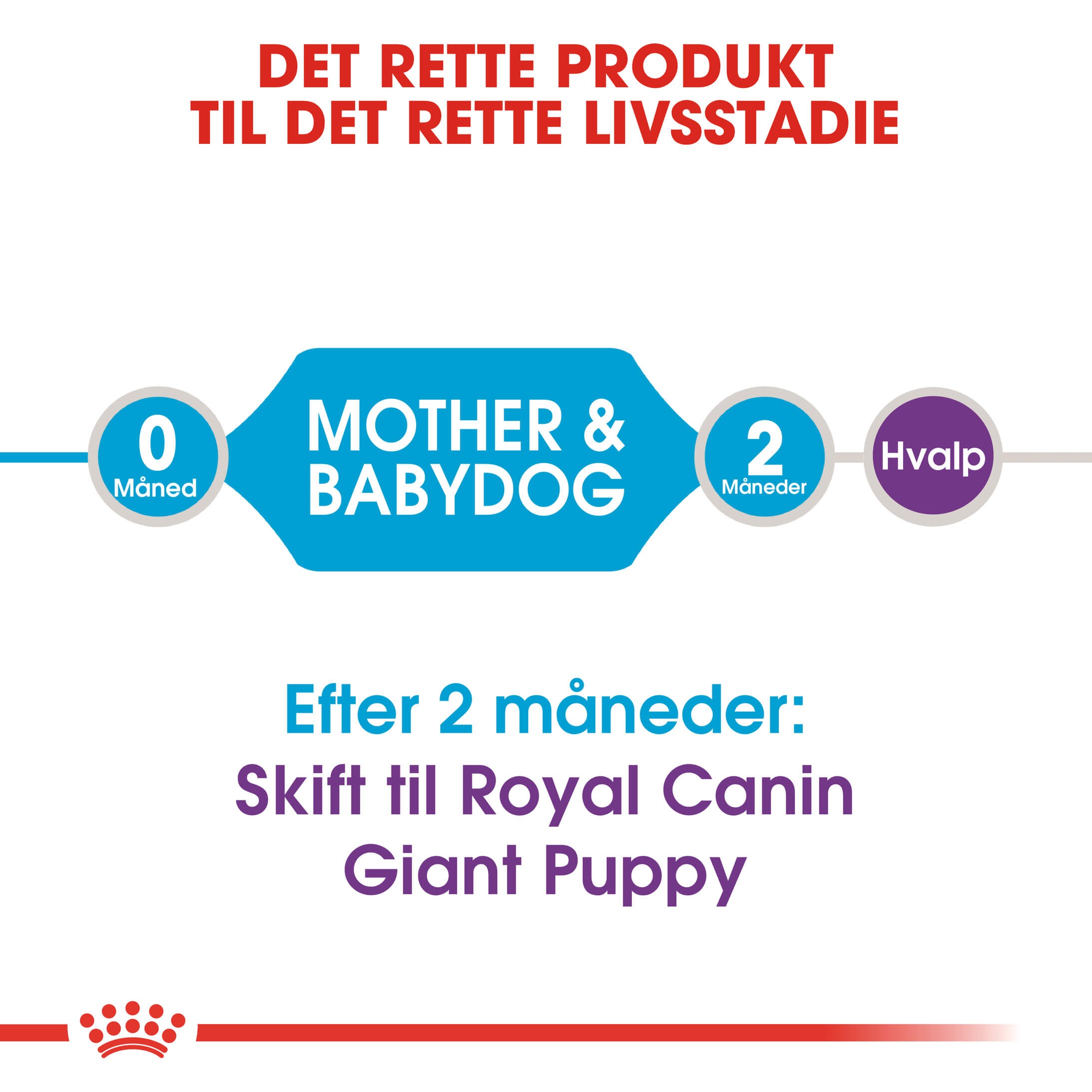 Royal Canin Giant Starter Mother & Babydog hundefoder