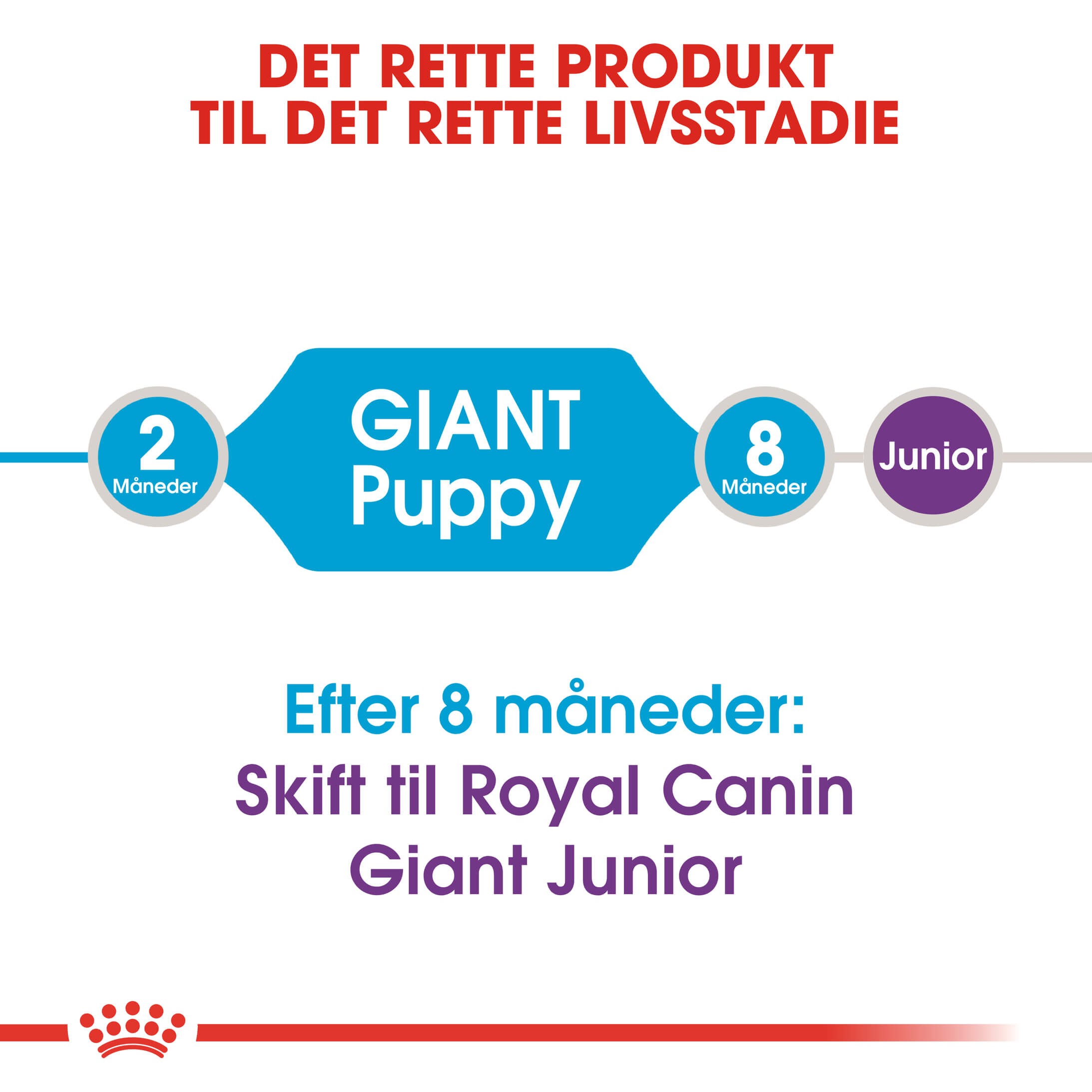 Royal Canin Giant Puppy hundefoder